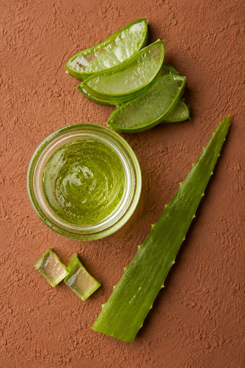 Aloe vera